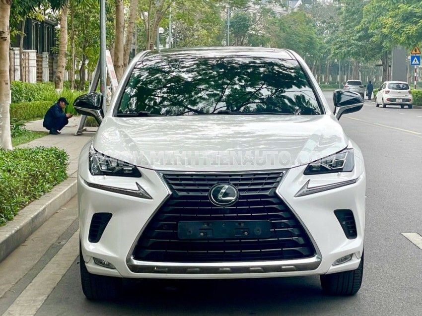 Lexus NX 300 2020