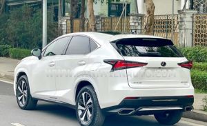 Xe Lexus NX 300 2020