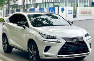 Xe Lexus NX 300 2020