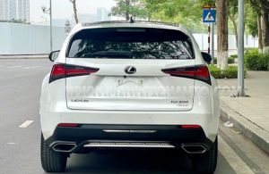 Xe Lexus NX 300 2020