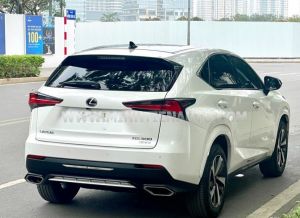 Xe Lexus NX 300 2020