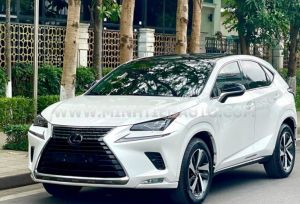 Xe Lexus NX 300 2020