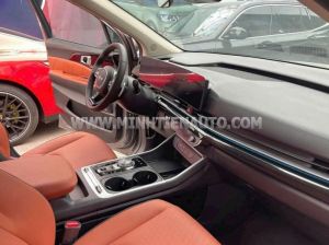 Xe Kia Carnival Signature 2.2D 2024