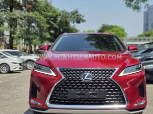 Xe Lexus RX 300 2021