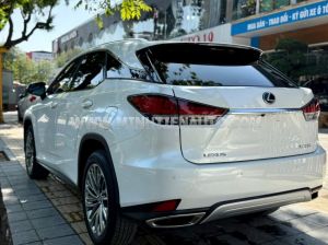 Xe Lexus RX 300 2022