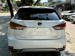 Xe Lexus RX 300 2022
