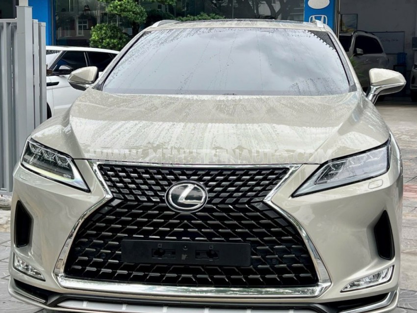 Lexus RX 300 2021