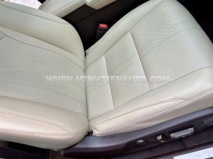 Xe Lexus RX 300 2018