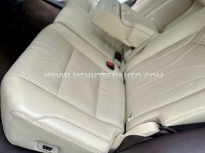 Xe Lexus RX 300 2018